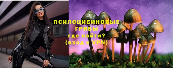 бутират Ладушкин