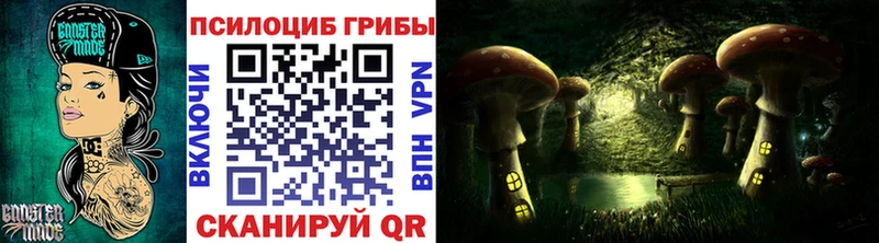 закладки  hydra как зайти  Псилоцибиновые грибы Psilocybine cubensis  Тырныауз 